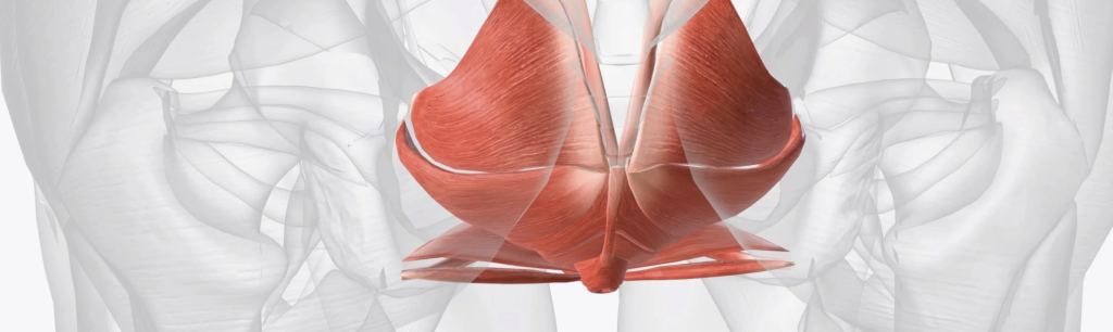 Screenshot 2026 01 05 At 9.21.26 am